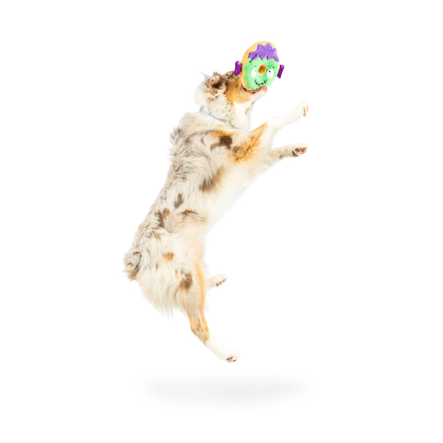 Frankenstein Donut Dog Toy
