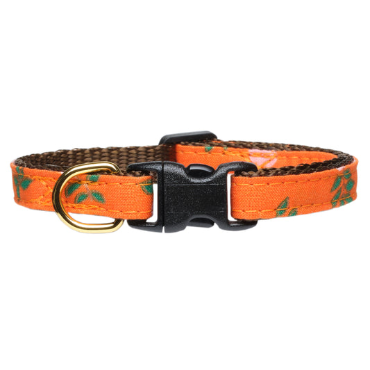 The From the Source Collar