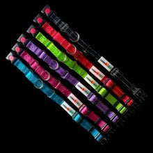 Martingale Dog Collar w/ Buckle