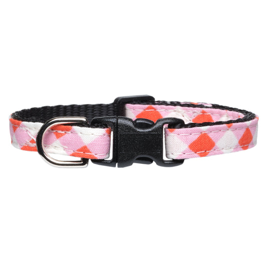 The New Neighbor Collar
