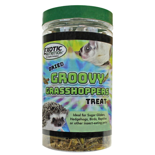 Grub-Worms Black Soldier Fly Larvae
