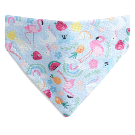 The Hot Cat Summer - Cat Bandana