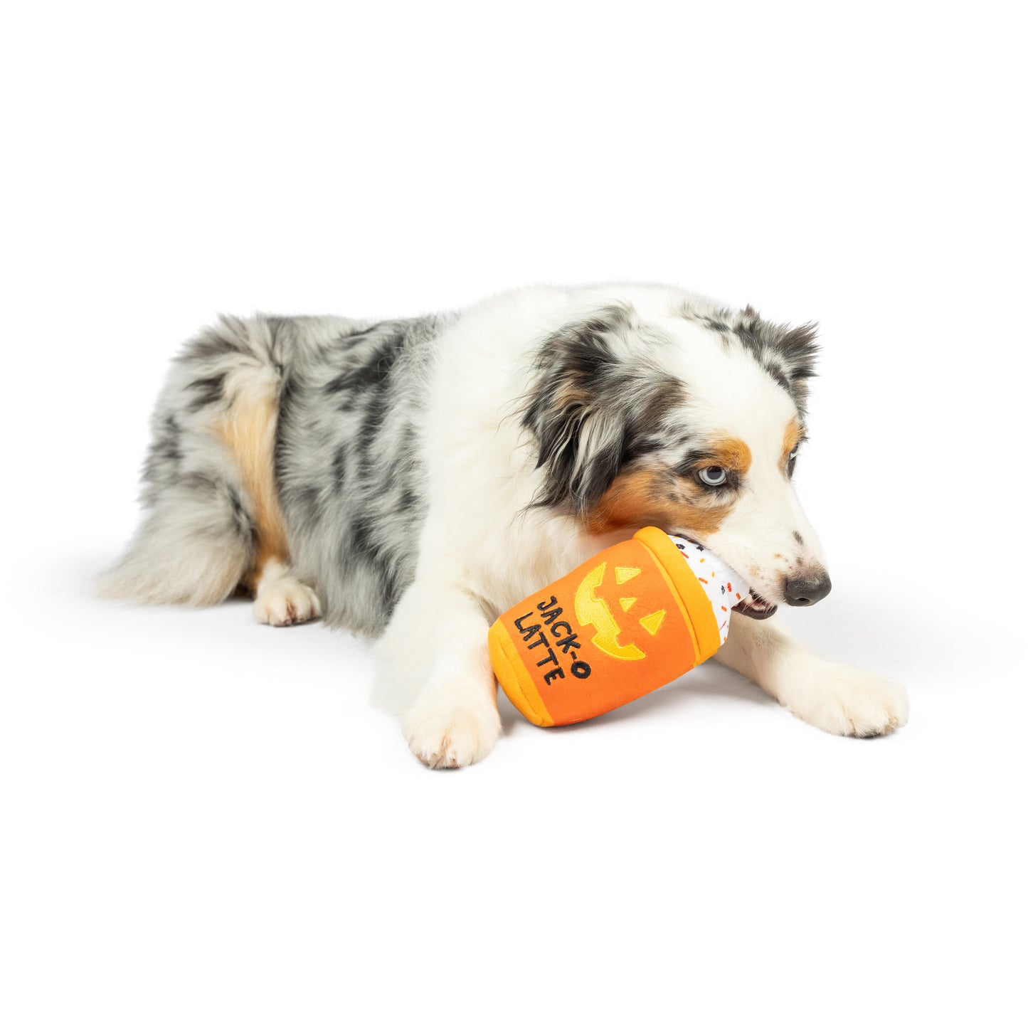 Jack-O-Latte Dog Toy (Double Sided)