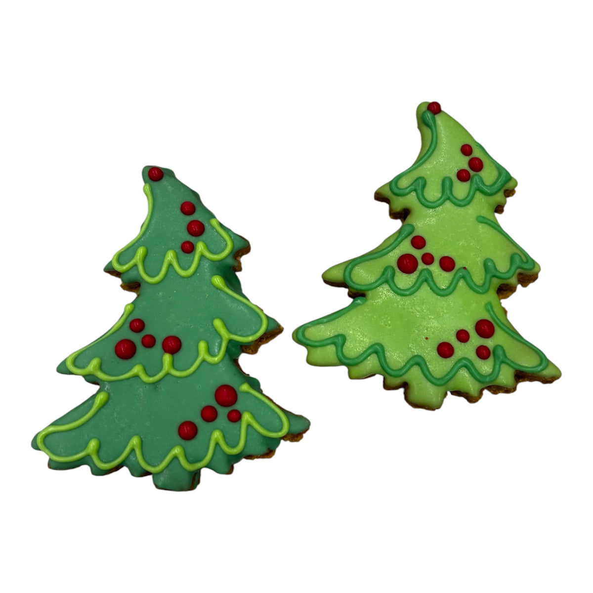 Holiday - Christmas Seasonal- Jolly Firs- Tray of 12