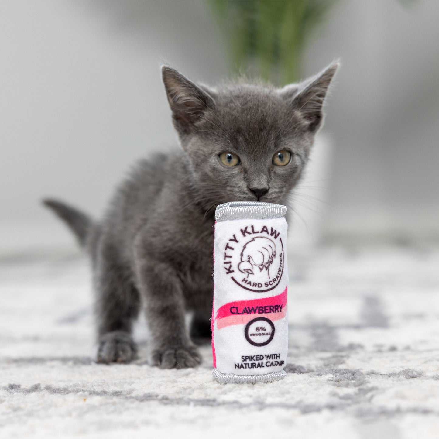 Kitty Klaw Clawberry Cat Toy