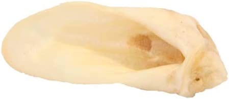 LAMB EARS-PACK OF 10