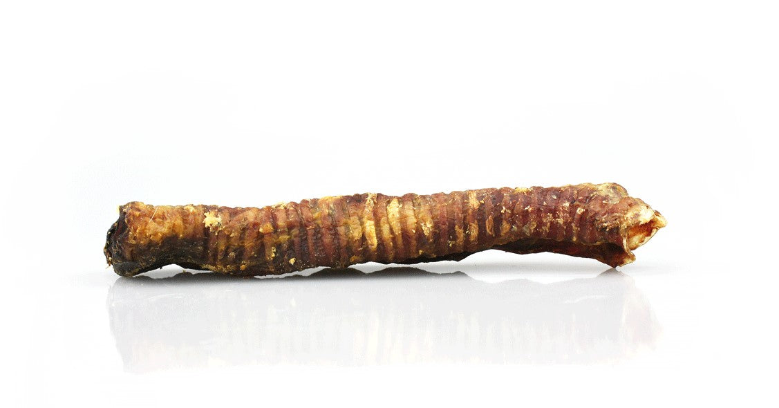 LAMB TRACHEA- PACK OF 10