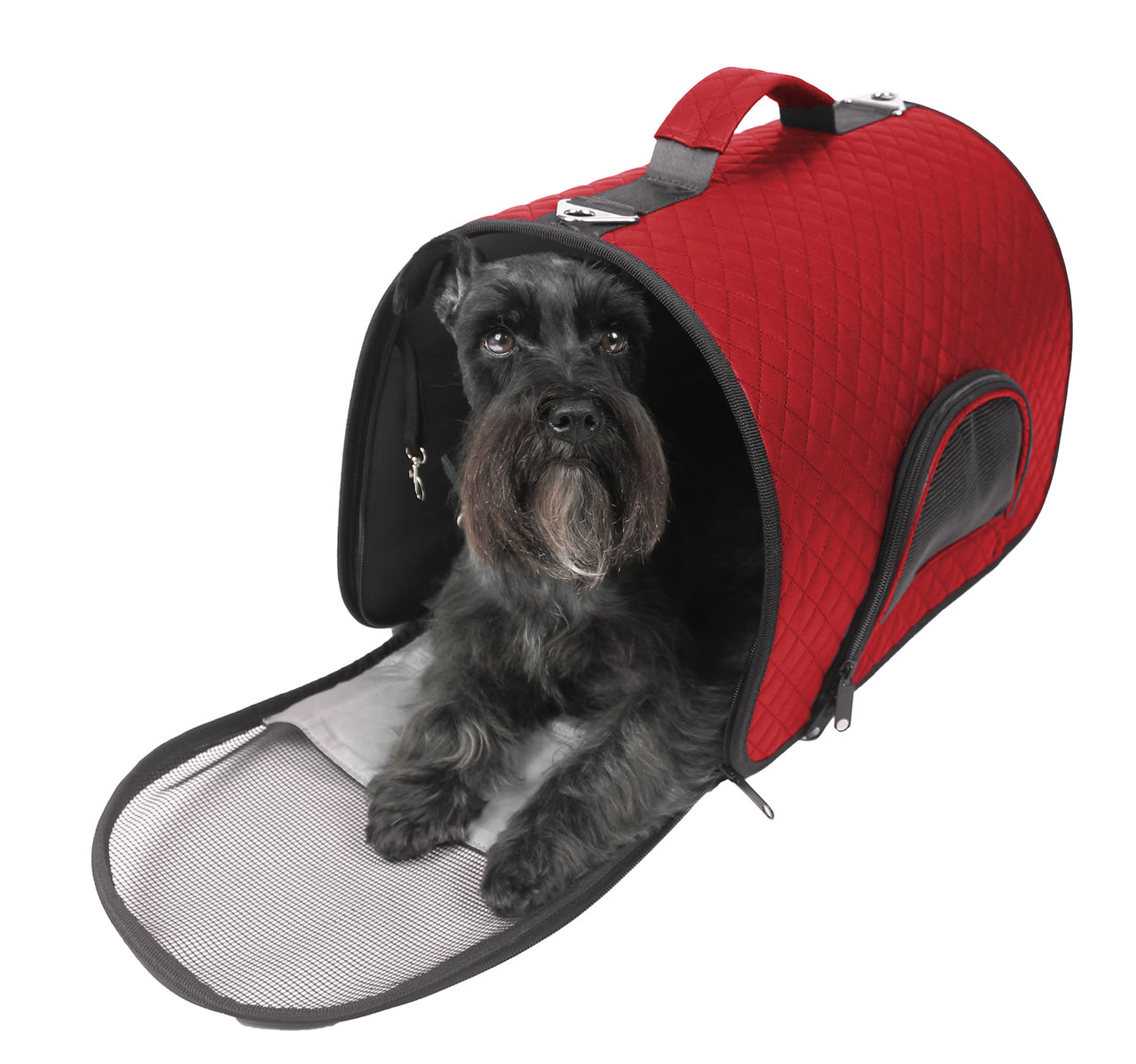 Designer Pet Carrier