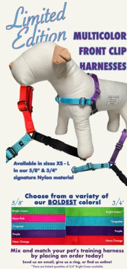Multi-Color Front Clip Harness