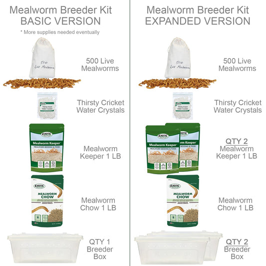 Mealworm Chow Live Mealworm Food