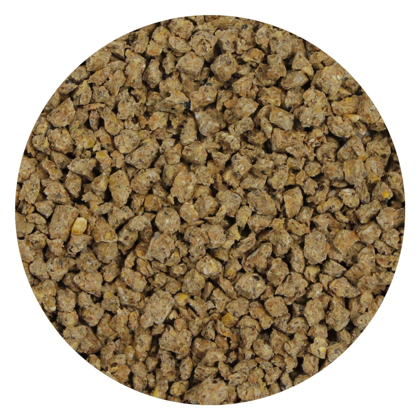 Mealworm Feeding Dish