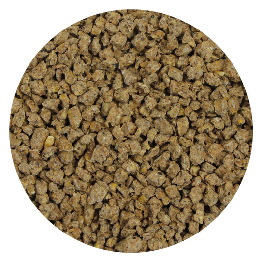 Mealworm Feeding Dish