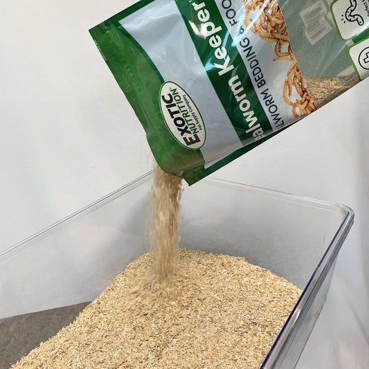 Mealworm Munchies
