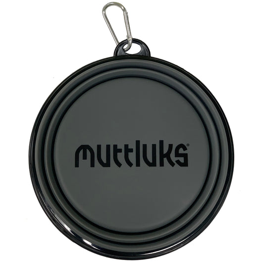Muttluks MuTTravel Collapsible Dog Bowl in gray with a carabiner clip