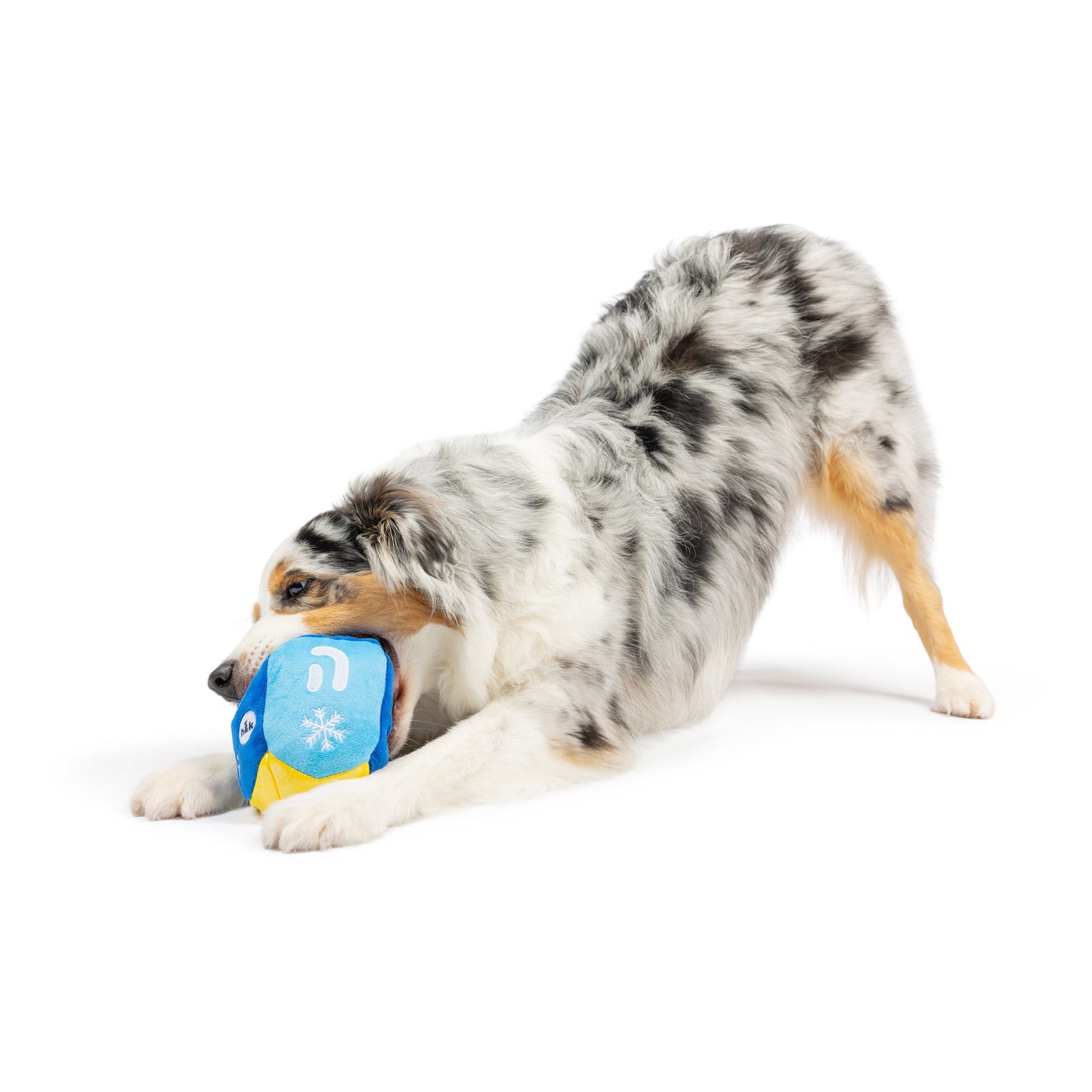 Mutt-Zel Tov Dreidel Dog Toy (Double Sided)