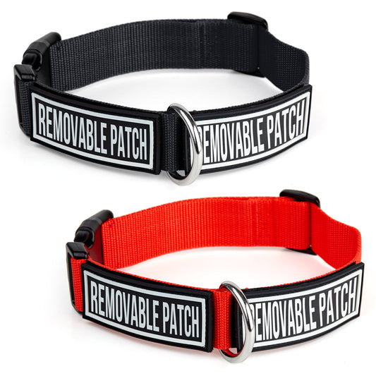Omega Nylon Flat Dog Collar + Built-in Hook & Loop Fastener