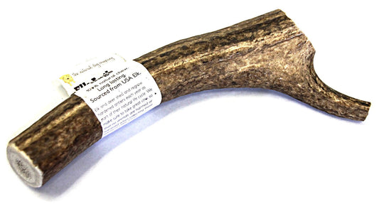 Elk Antler - Huge Whole- EACH