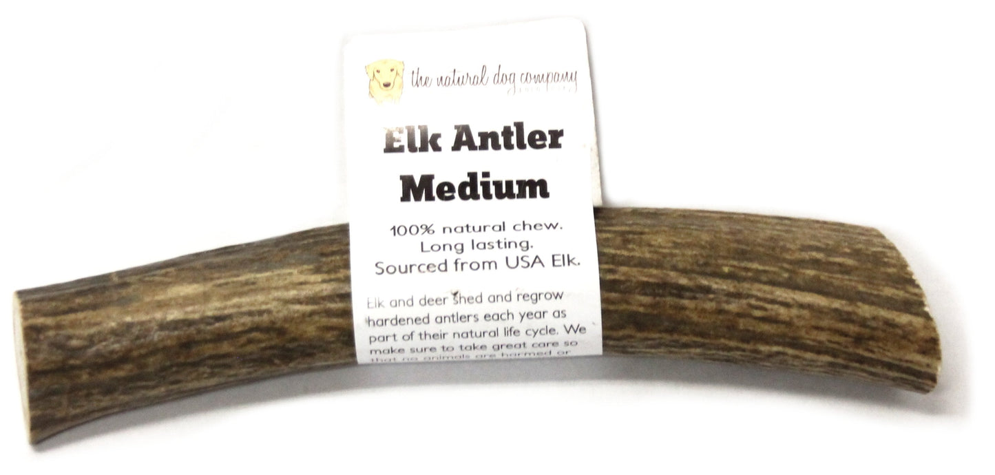 Elk Antler - Medium Whole- EACH