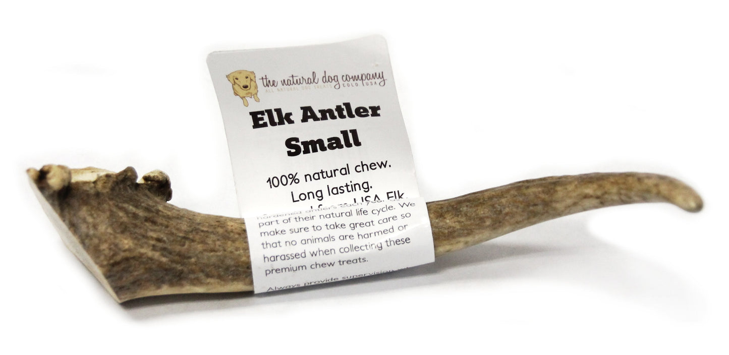 Elk Antler - Small Whole- EACH