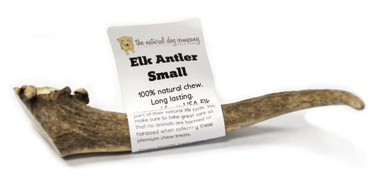 Elk Antler - Small Whole- EACH