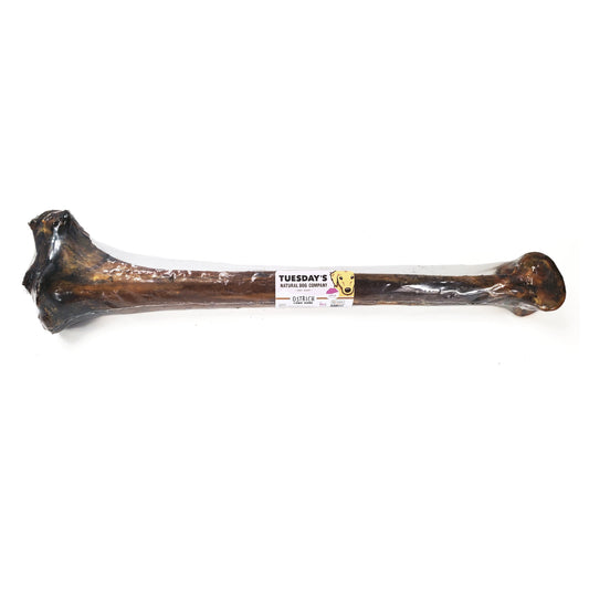 Ostrich Long Bone (Bulk)- Pack of 5