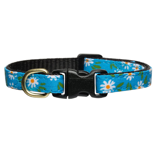 The Ok, Bloomer Collar