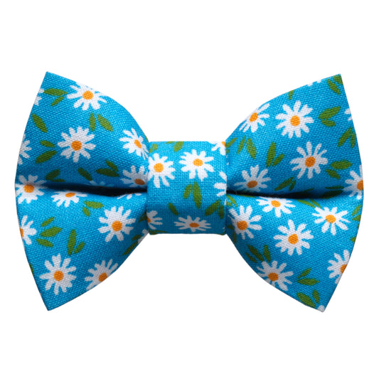 The Ok, Bloomer - Bow Tie