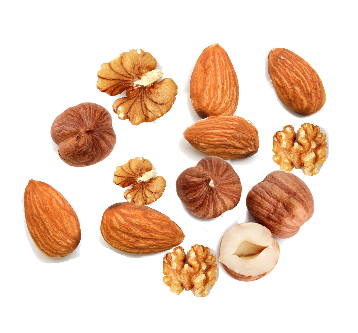 Exotic Nutrition Premium Nut Mix with almonds, hazelnuts, and walnuts scattered on a white background