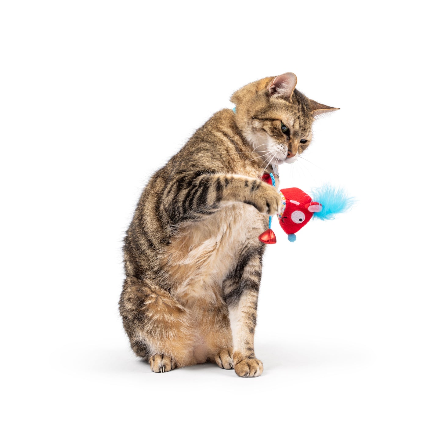 Cheerful Mouse Chirpy Cat Toy