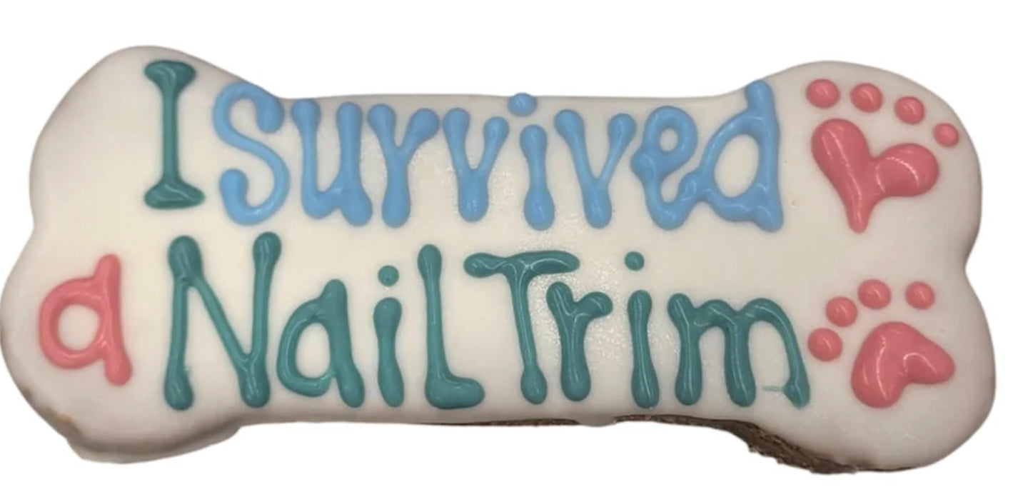 Year Round- I Survived A Nail Trim Bone- Tray of 10