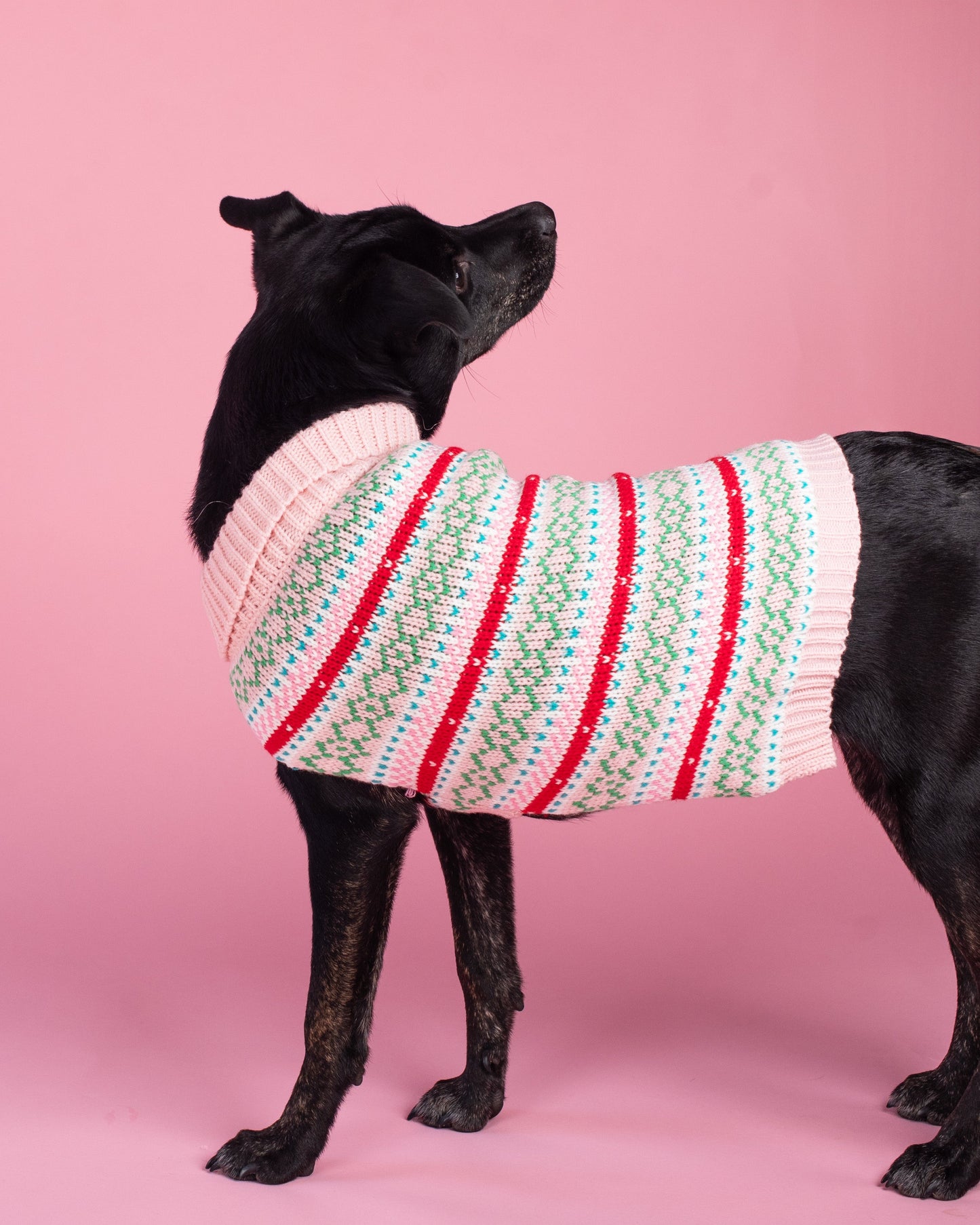 Pink Fair Isle Sweater