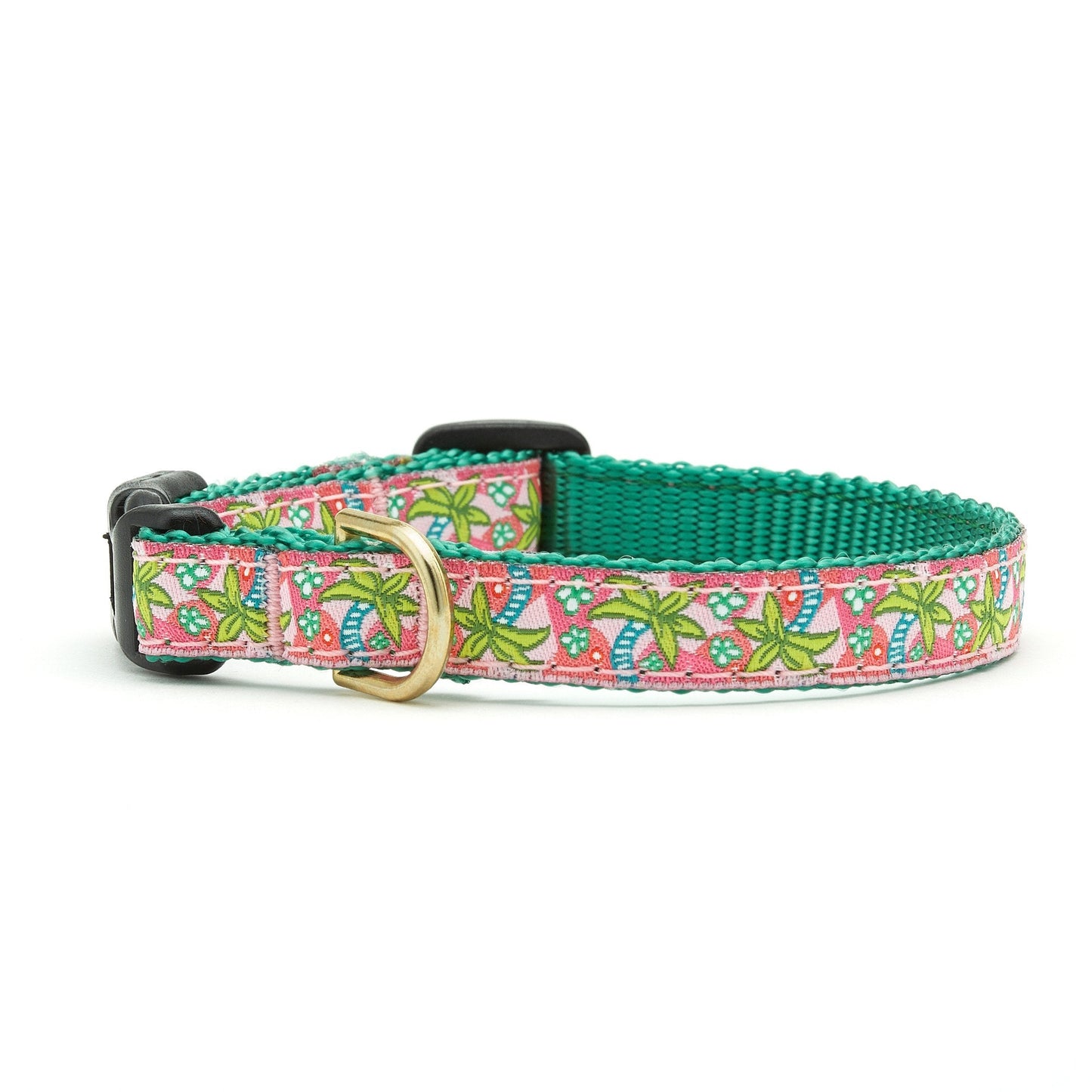 Pink Palms Small Breed Dog Collar