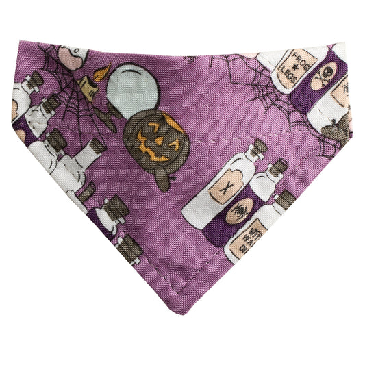 The Spellbound - Cat Bandana