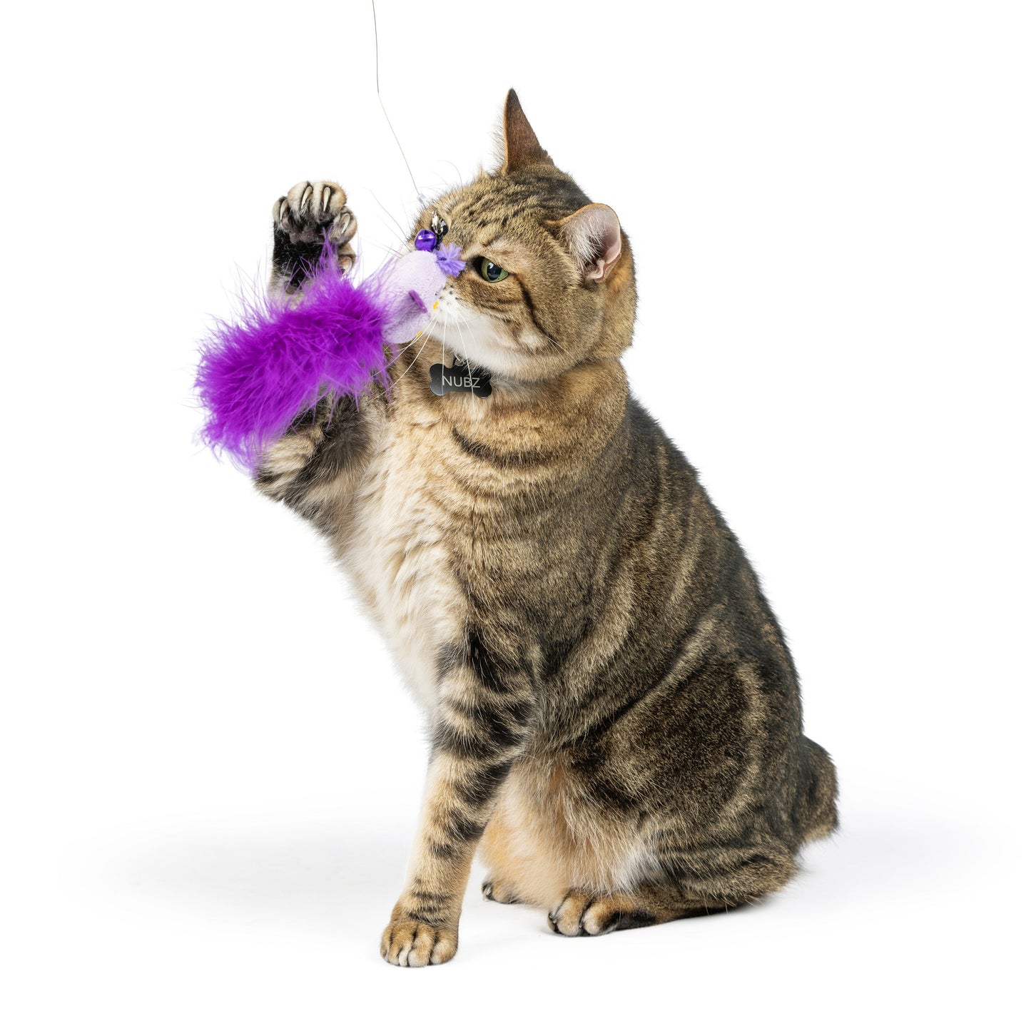 Purple Birdy Feather Teasers 2pk Refill Cat Toy