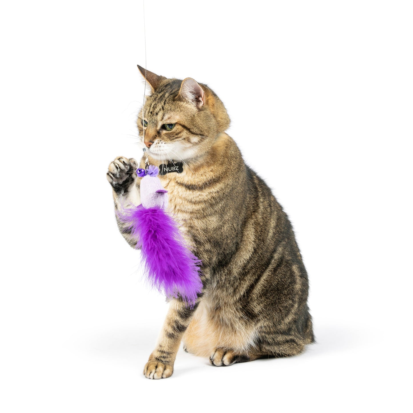 Purple Birdy Feather Teasers 2pk Refill Cat Toy