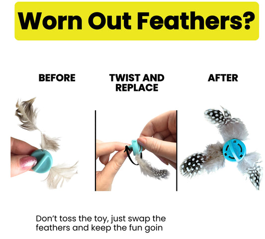 Forever Prey™ - The World's First Refillable Feather Toy