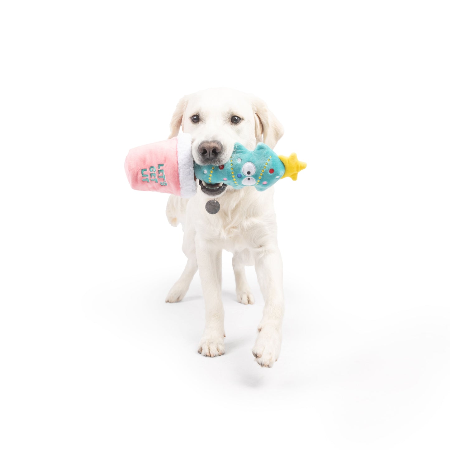 Seek 'n Treat Let's Get Lit Pawt Dog Toy