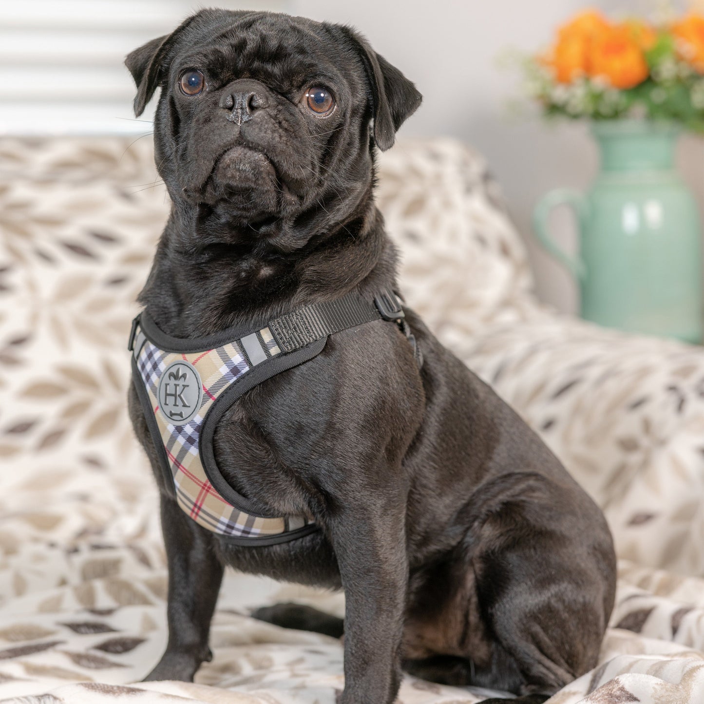 Printed Scout Harness High Street Plaid