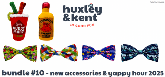 Bundle #10 - New Accessories & Yappy Hour 2025