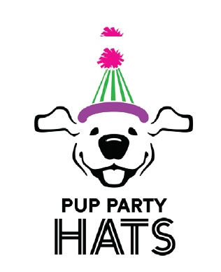 Party Hat