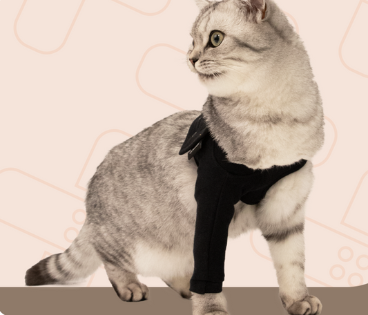 Recovery Front Leg Single Sleeve Cat