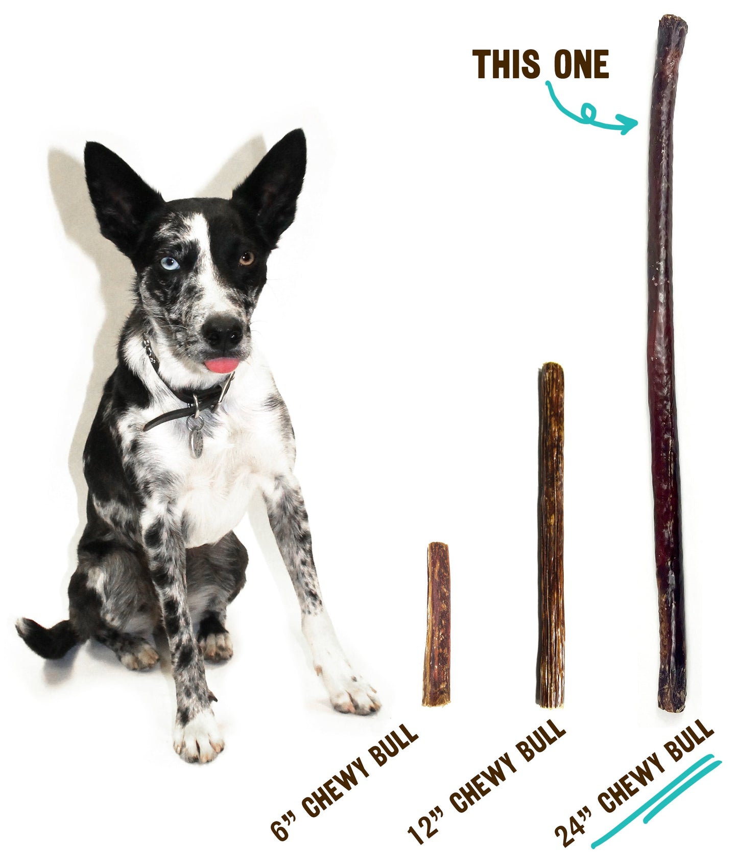 24" Chewy Bulls (Bulk)- Pack of 10