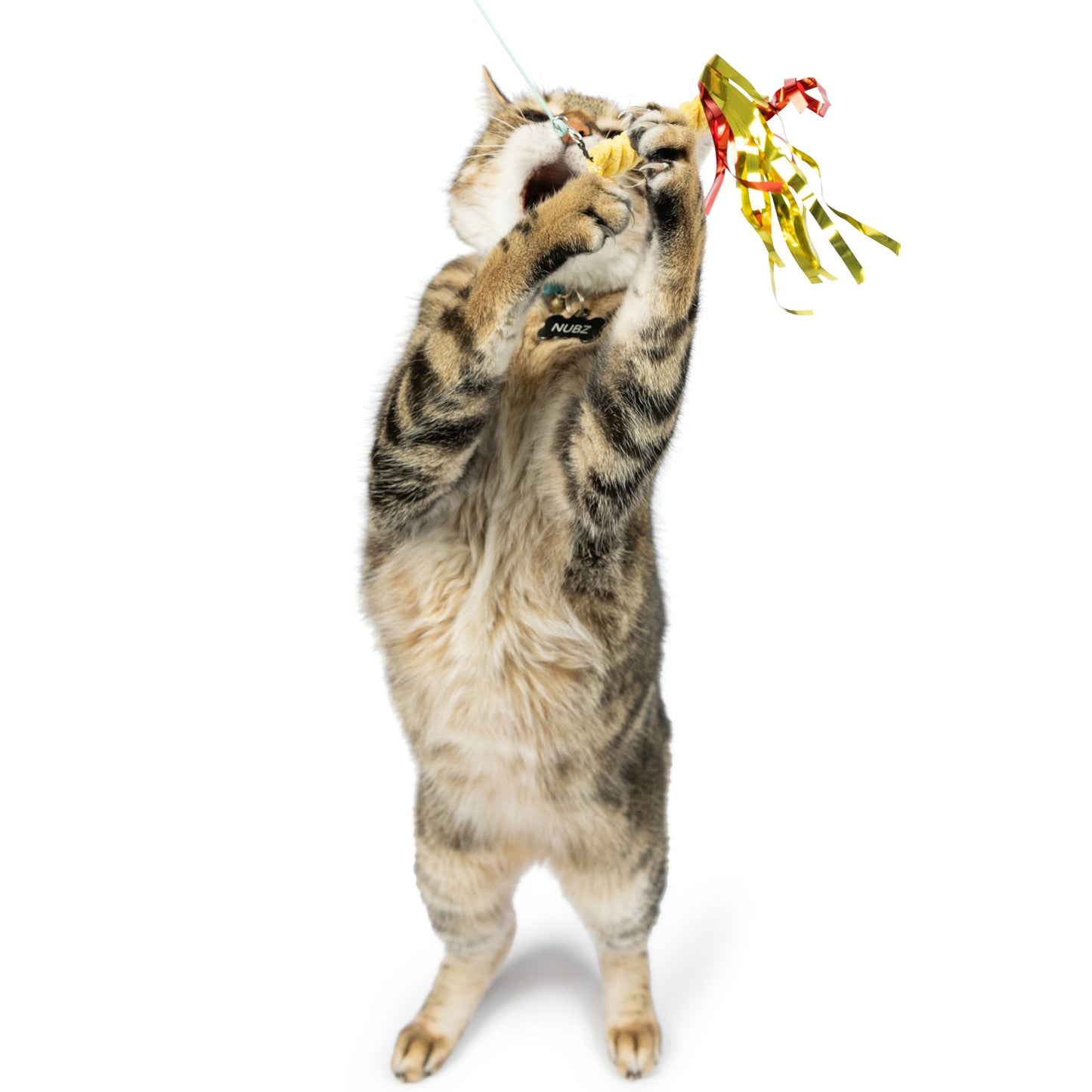 Snacky Teasers 3pk Refill Cat Toy