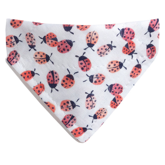 The Spot On - Cat Bandana