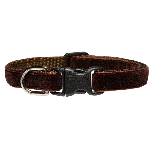 The Study Hall Collar