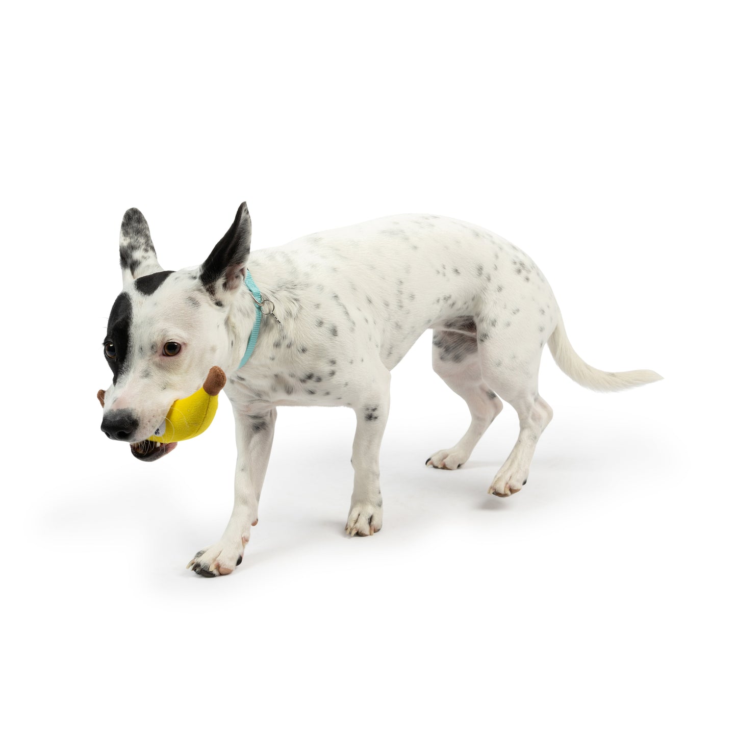 Tiny Tuff Bruiser Banana