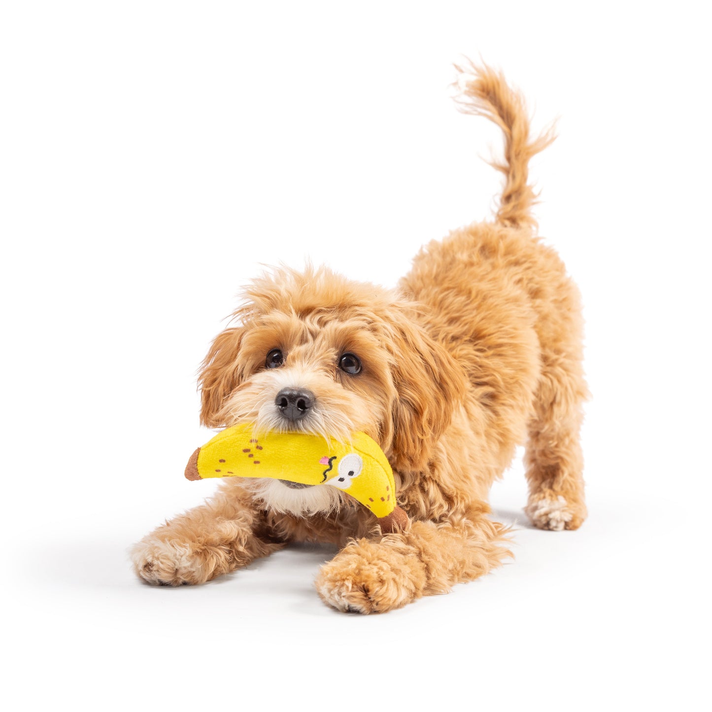 Tiny Tuff Bruiser Banana