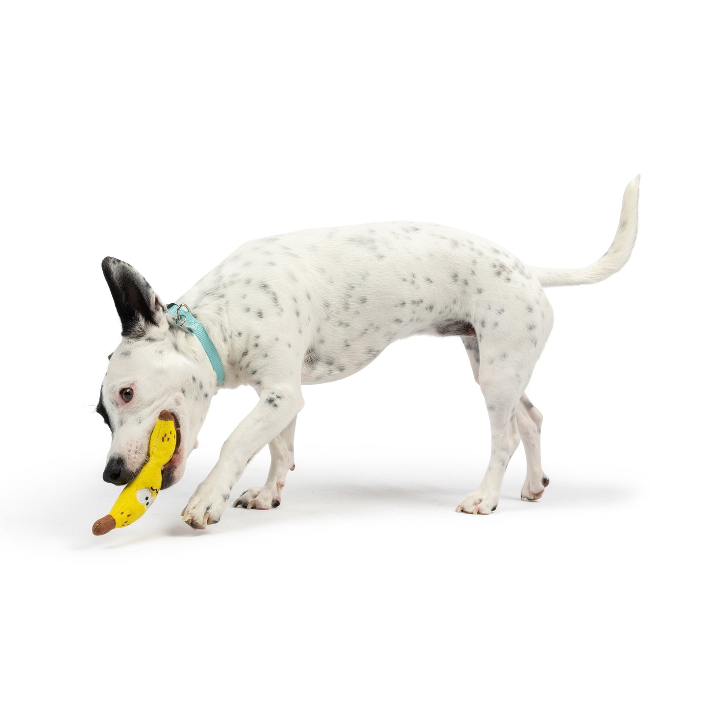 Tiny Tuff Bruiser Banana
