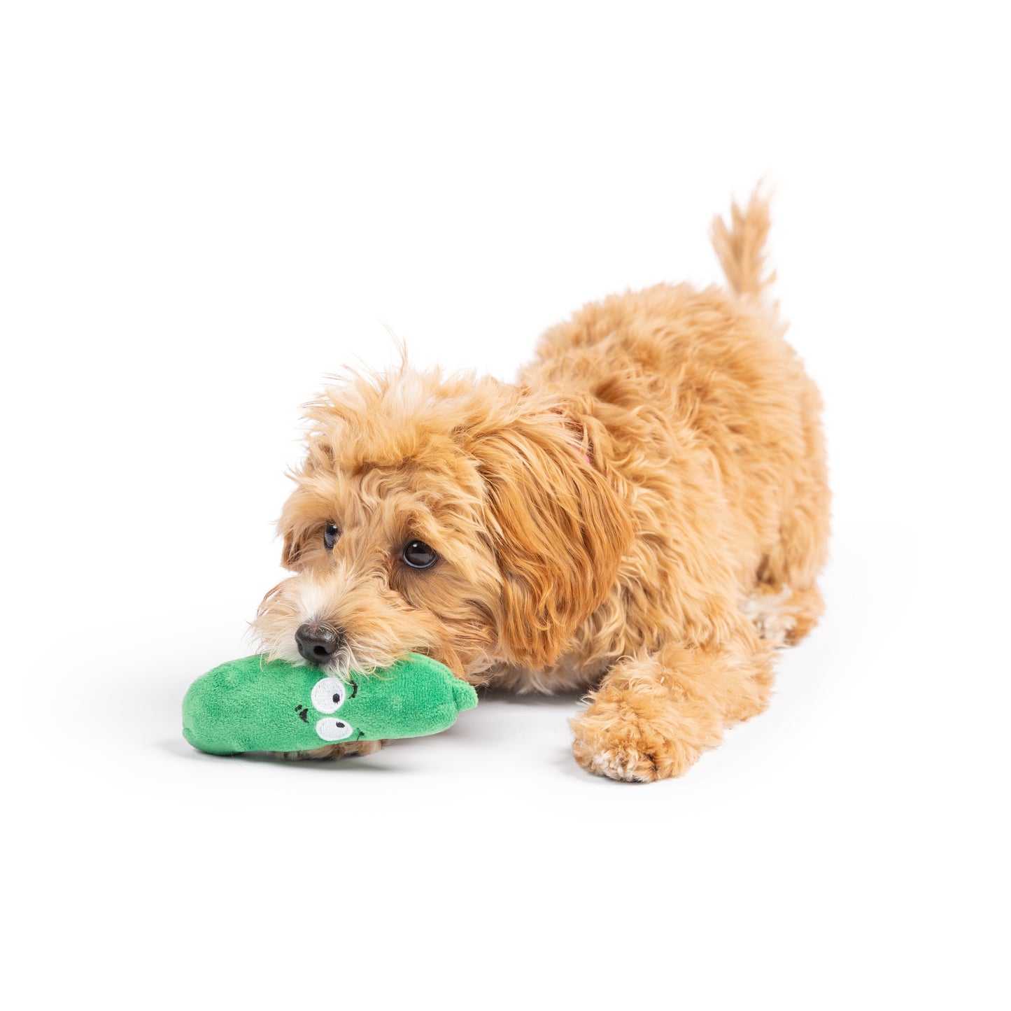 Tiny Tuff Dell Pickle