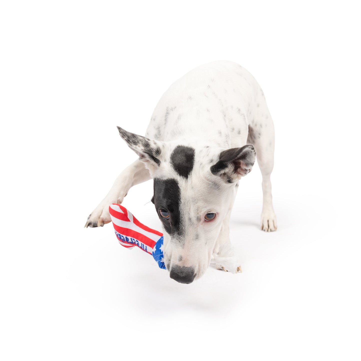 Tiny Tuff Lil' Firecracker Bone